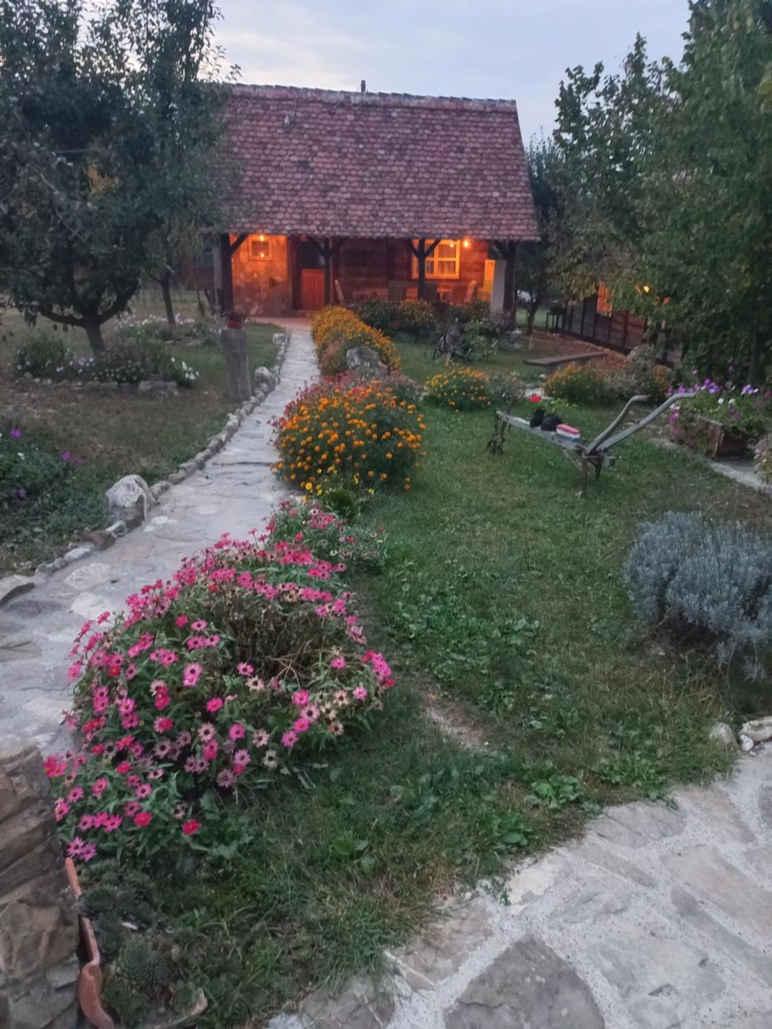 Magaze De Luxe Villa Gradacac Bagian luar foto